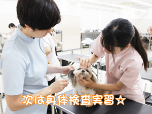 検査実習と身体検査！